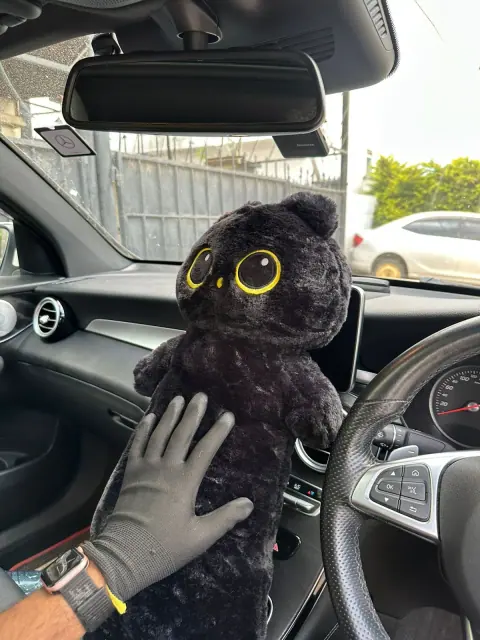 Mimi — Huggable Kitty Pillow