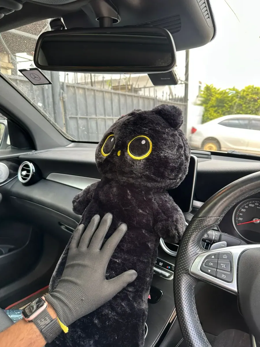 Mimi — Huggable Kitty Pillow
